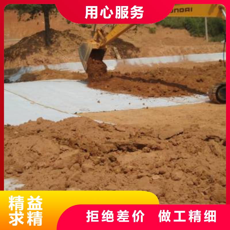 咨询{亿路通}防水毯【钢塑土工格栅厂家】支持定制