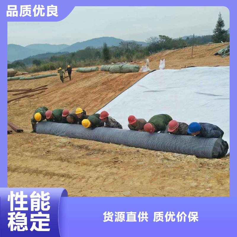 咨询{亿路通}防水毯【钢塑土工格栅厂家】支持定制