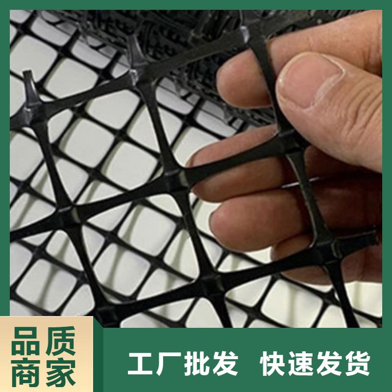 土工格栅-三维土工网垫实力派厂家