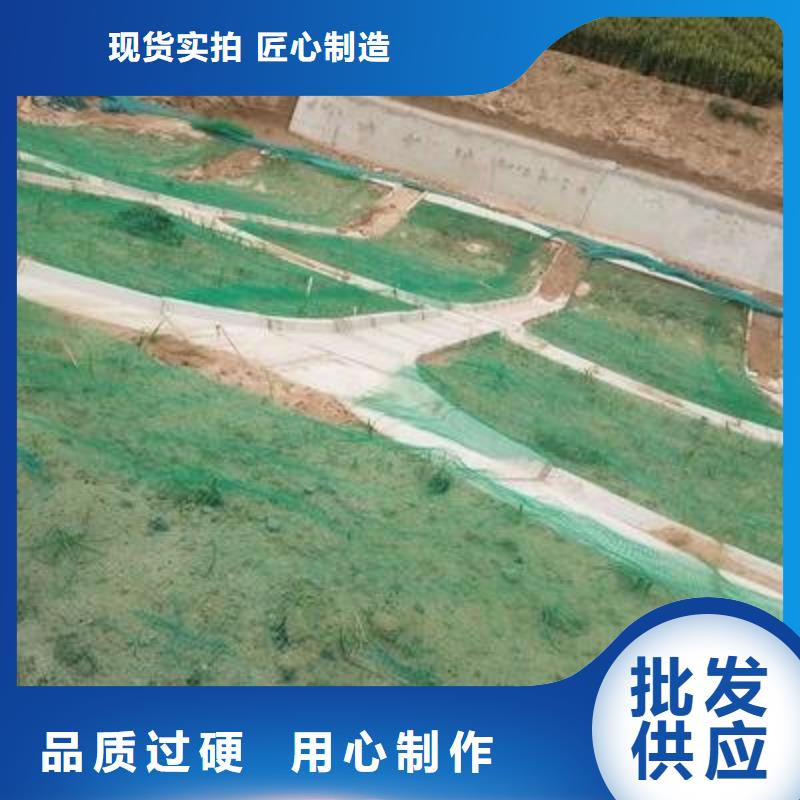 三维植被网钢塑土工格栅厂家货源直销