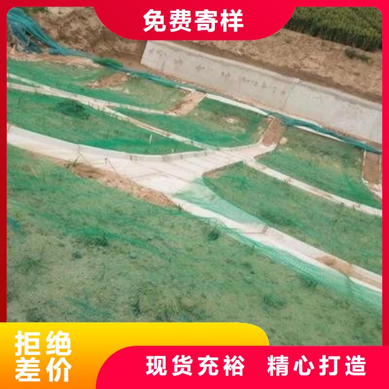 三维植被网_凸结点钢塑土工格栅客户满意度高