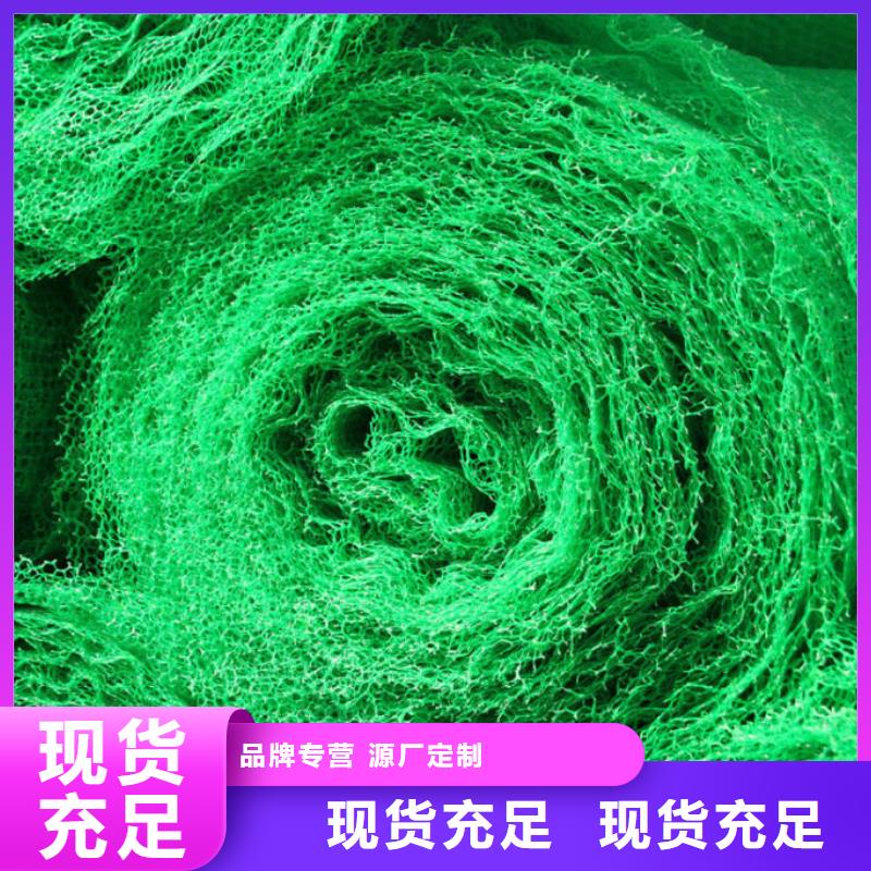 三维植被网【钢塑土工格栅】专注质量