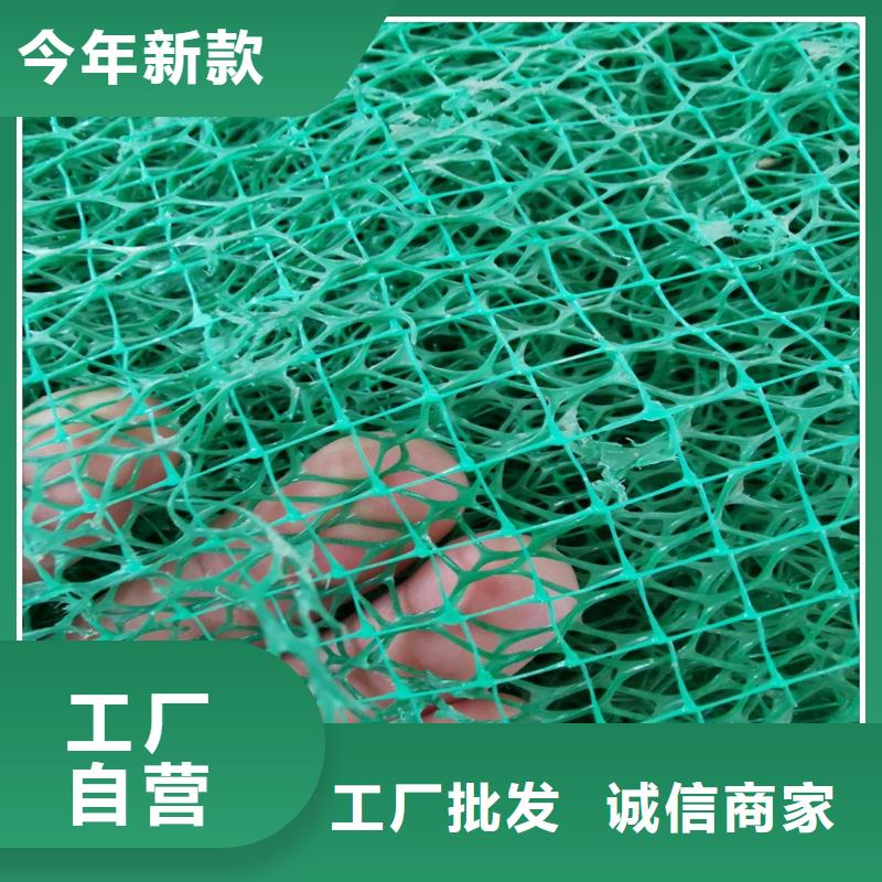 三维植被网土工席垫厂家型号齐全