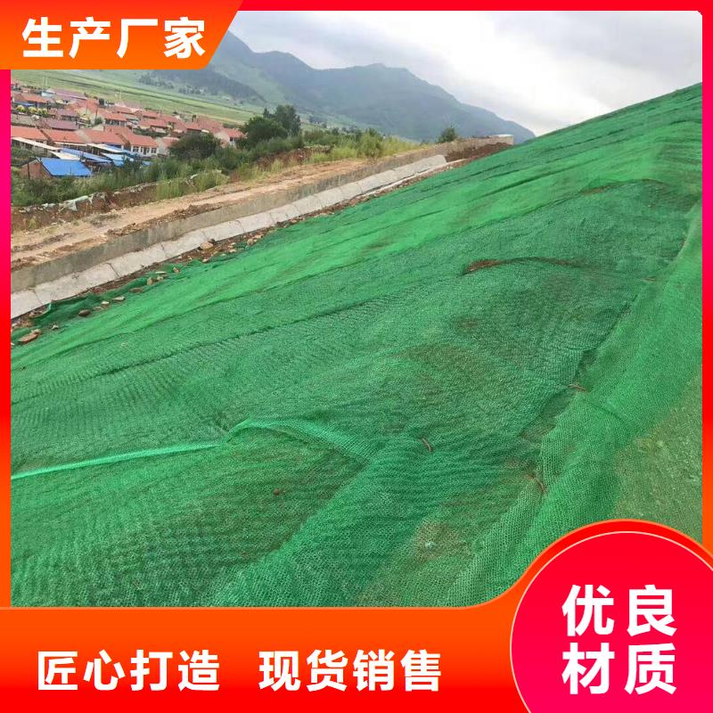 三维植被网【钢塑土工格栅厂家】诚信经营现货现发