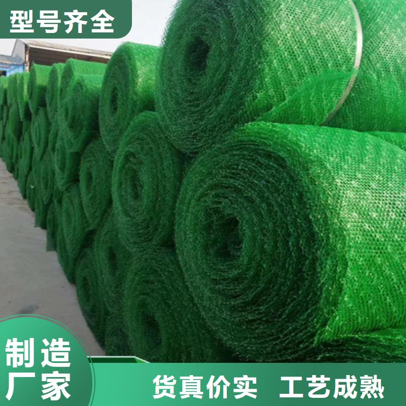 三维植被网,【三维水土保护毯】优质货源