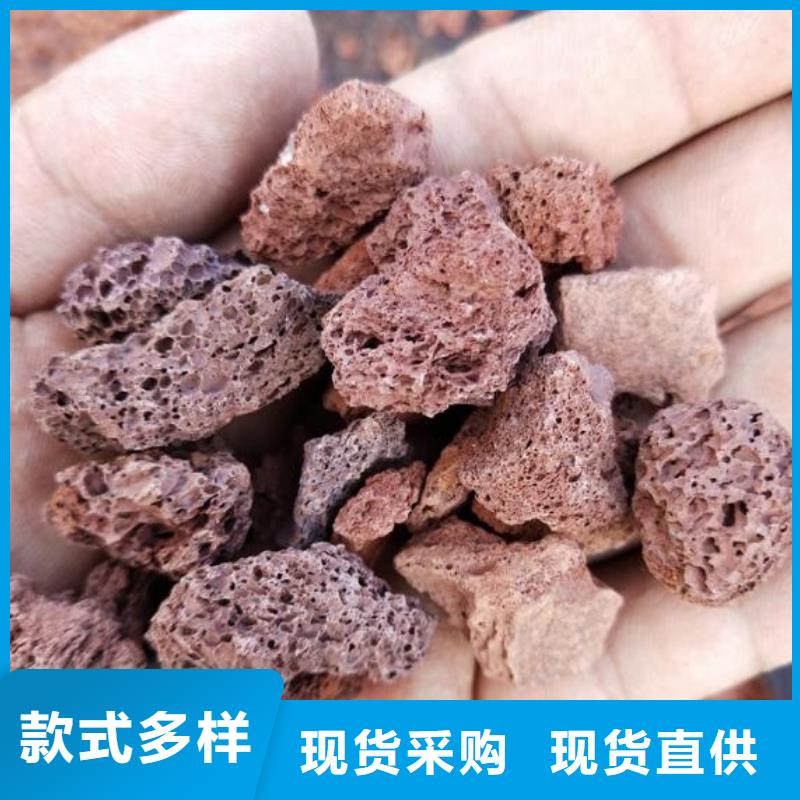 反硝化池用火山岩滤料哪里有卖