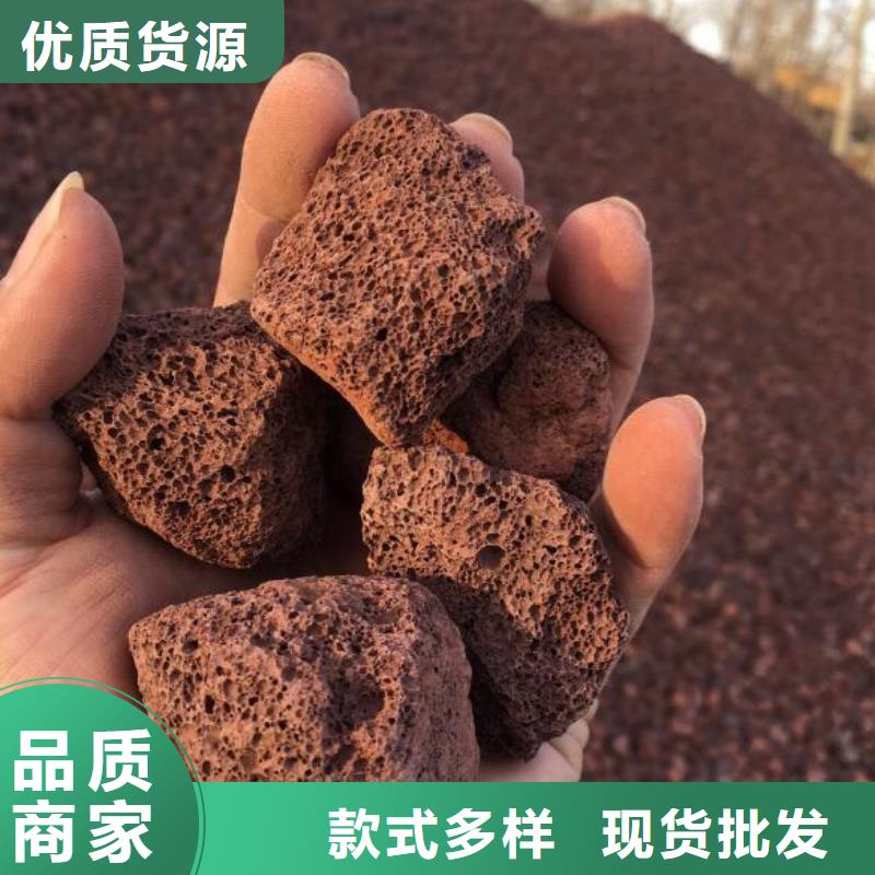 反硝化池用火山岩陶粒经销商