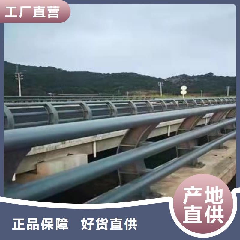 护栏城市景观防护栏质优价保