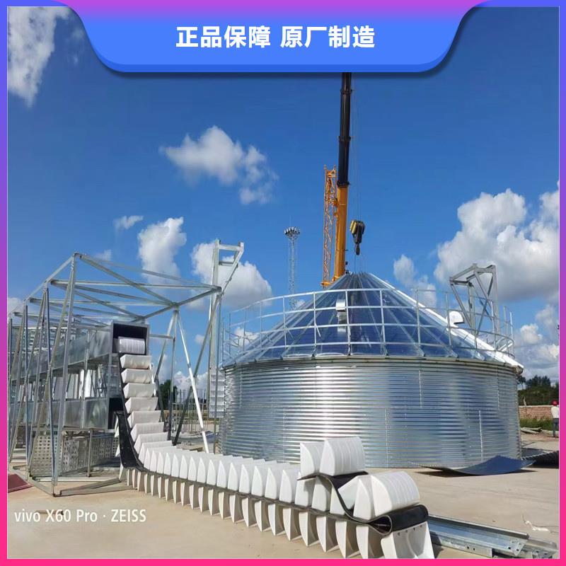 支持定制的大豆装配式粮仓钢板仓生产厂家