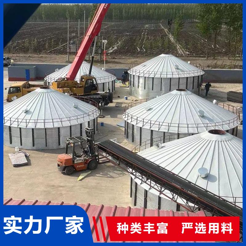 大型立式粮食储存仓行业动态