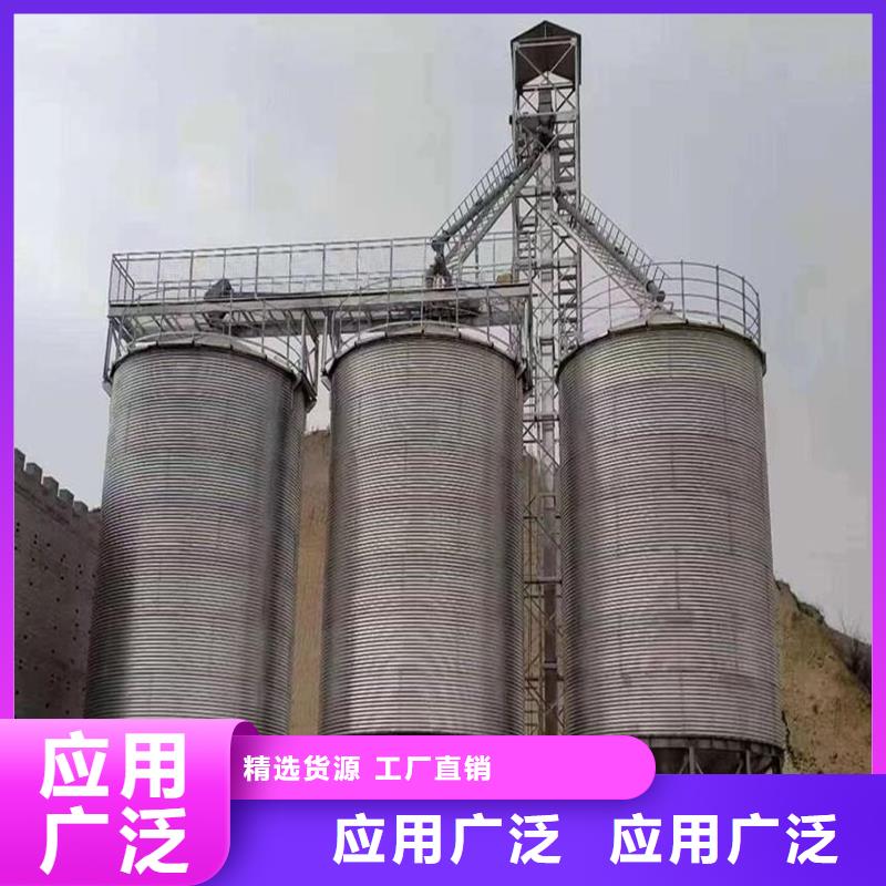 大型立式粮食储存仓解决方案
