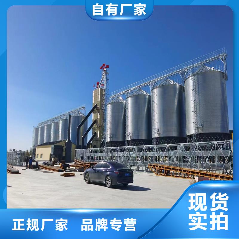 立式玉米钢板仓实体大厂