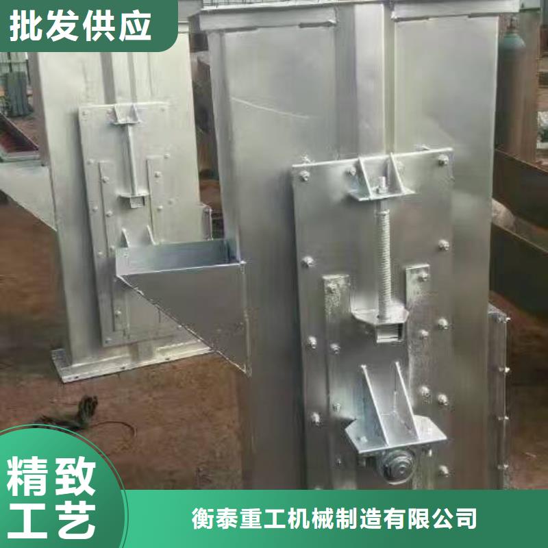 TD160斗式提升机实体厂家