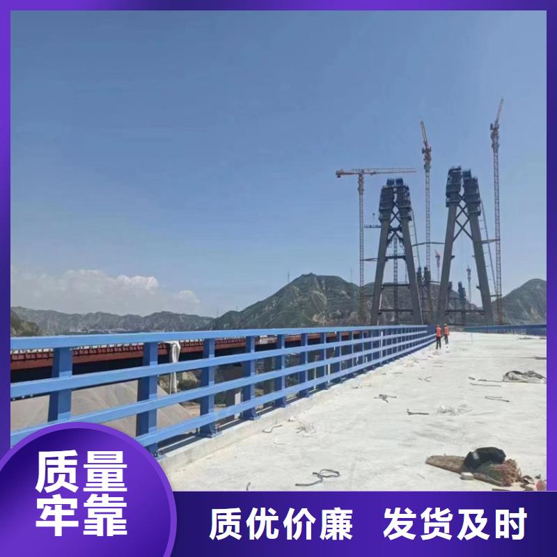 公路护栏管服务细致周到