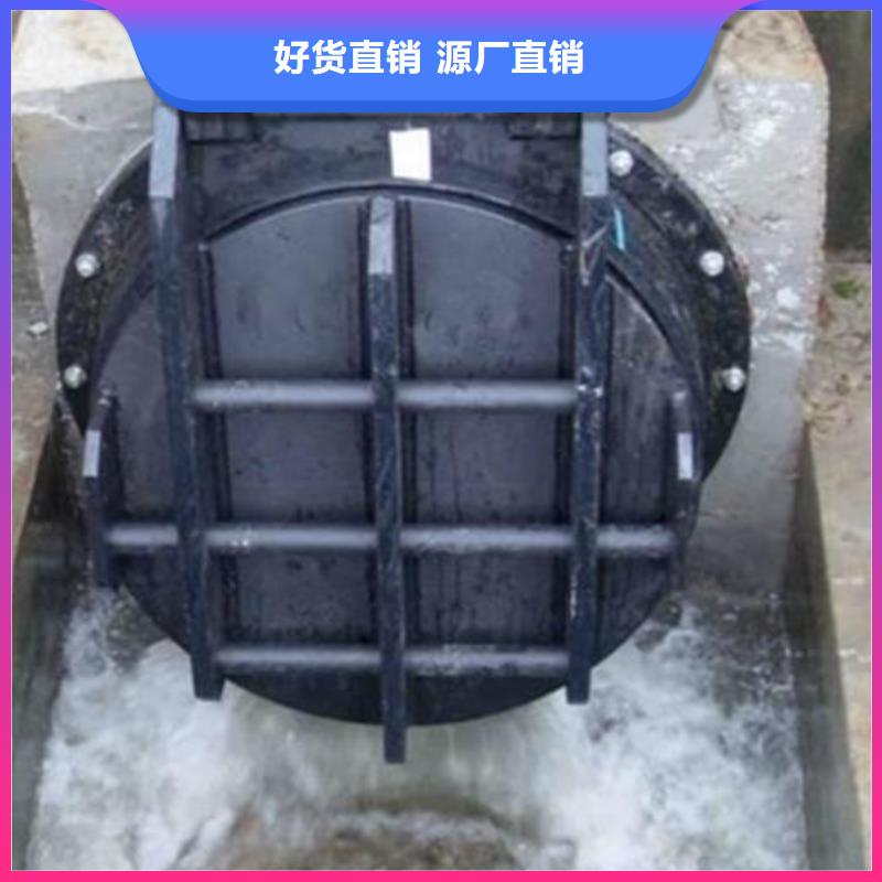 专业品质扬禹黎城DN400铸铁拍门制造厂家