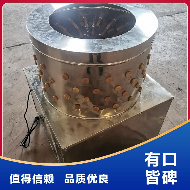 【 家禽脱毛机,输送机定制零售批发】浩宇输送带