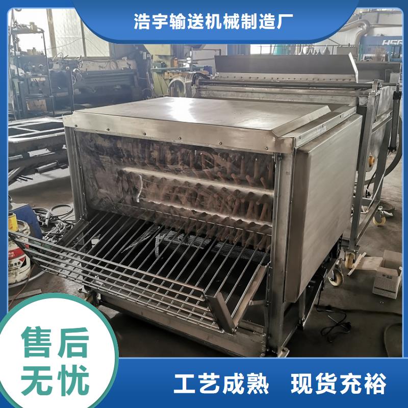 【 家禽脱毛机,输送机定制零售批发】浩宇输送带