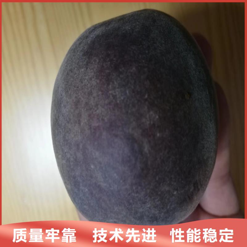 桃苹果苗高品质现货销售