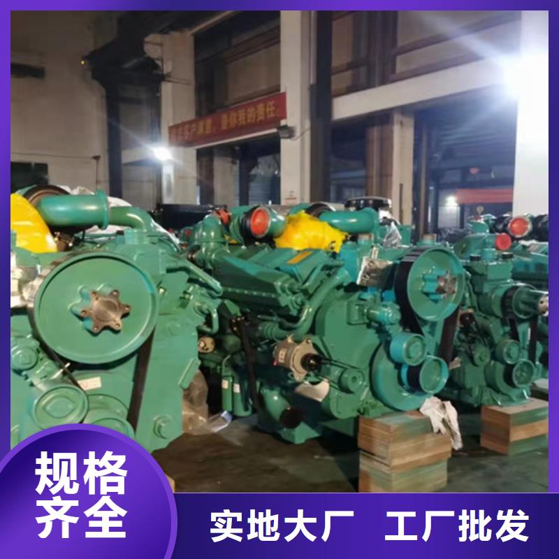 永嘉常用发电机租赁公司电话