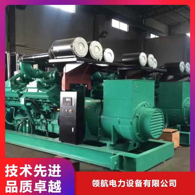 【柴油发电机组出租】发电机租赁多年经验值得信赖 泽兴柴油发电机租赁厂家(茂名市分公司)