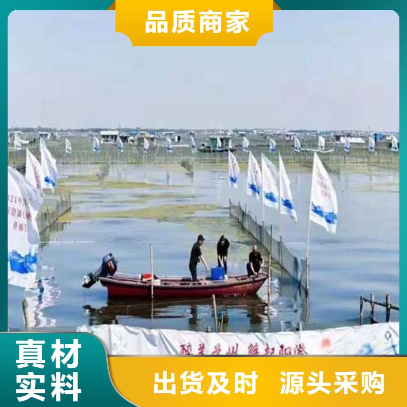 苏州阳澄湖大闸蟹那家实惠味道好