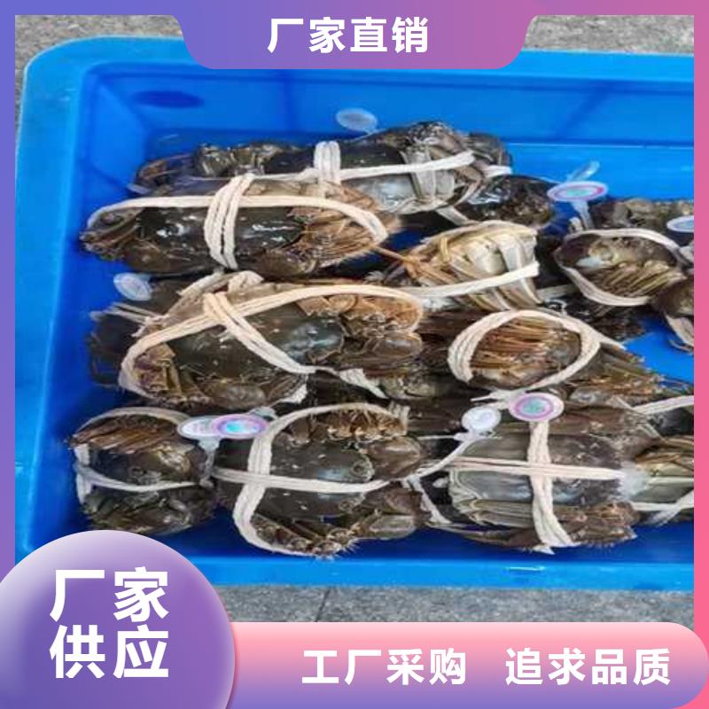 阳澄湖买大闸蟹哪家好阳澄湖吃大闸蟹农家乐比较正宗