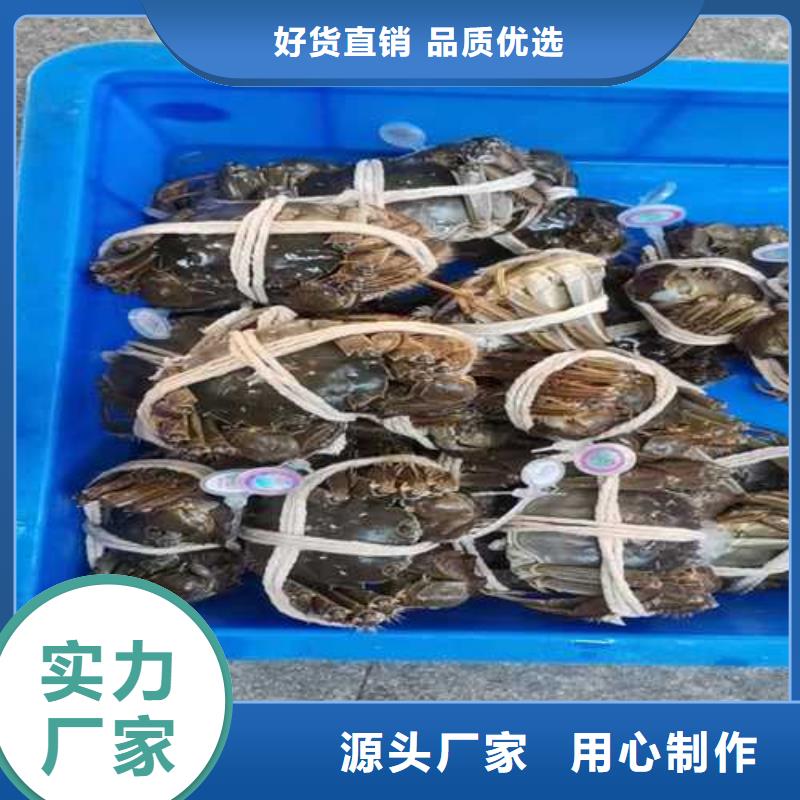 去正宗阳澄湖大闸蟹哪里比较正宗在苏州阳澄湖