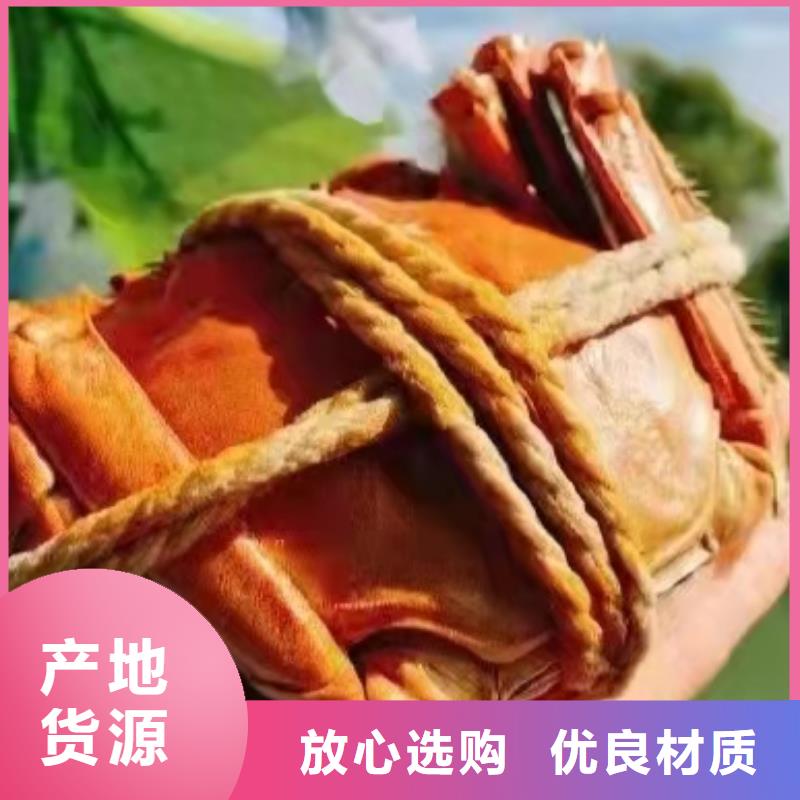 螃蟹企业-大品牌