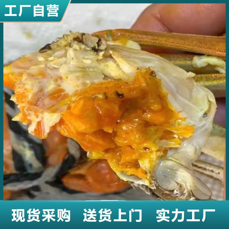 大闸蟹-大闸蟹定制