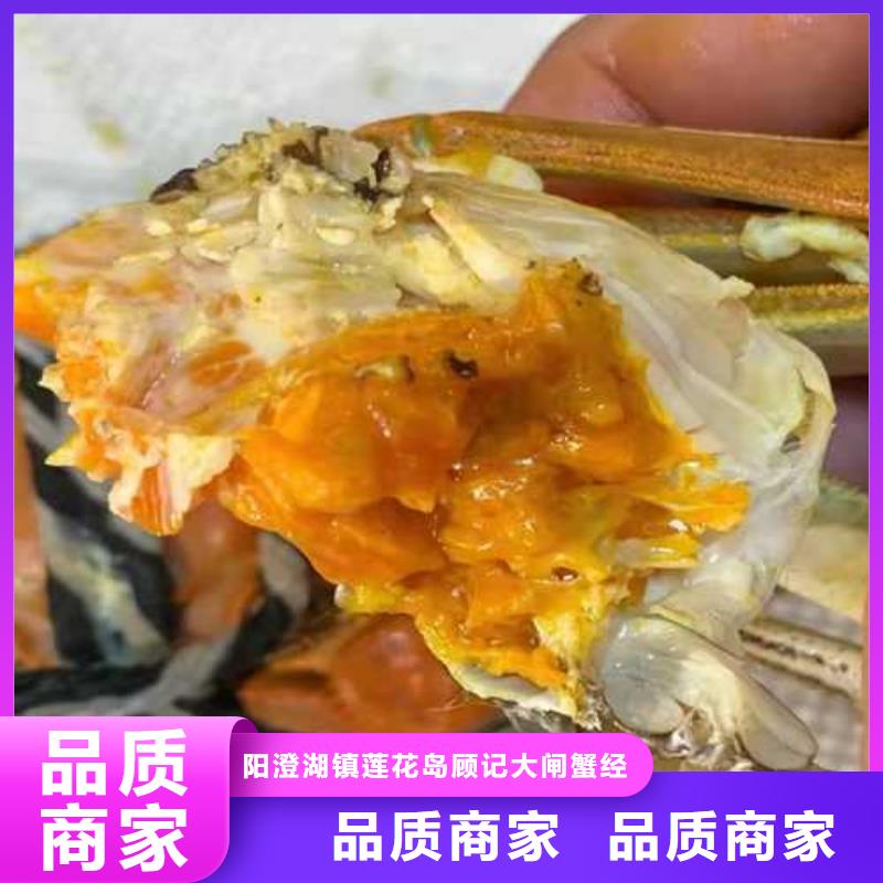 鲜活特大螃蟹现货