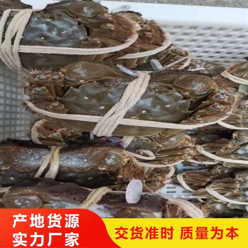 阳澄湖大闸蟹哪里正宗