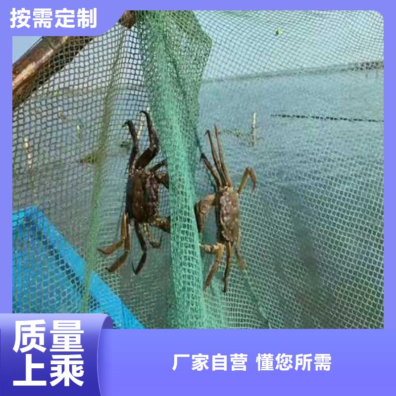 打螃蟹加工厂