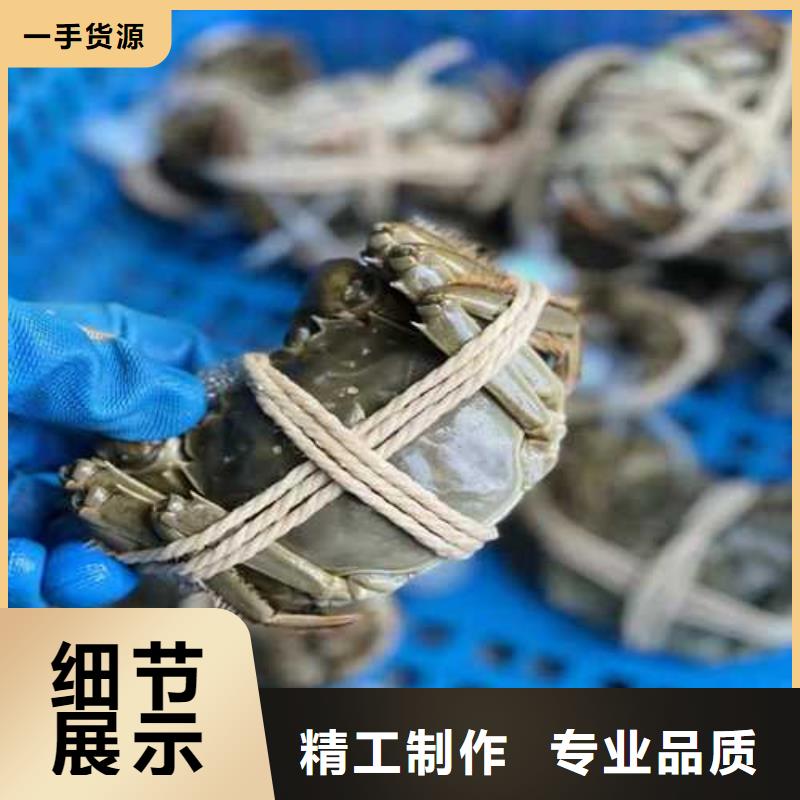 正品阳澄湖大闸蟹销售