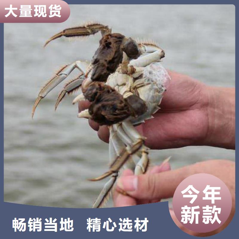 阳澄湖大闸蟹哪里卖