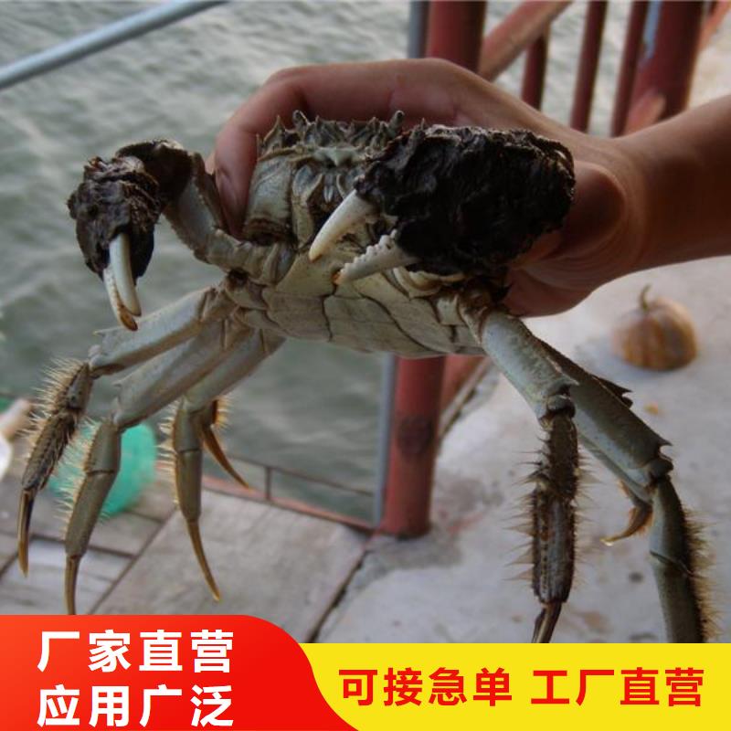 咨询[顾记]大螃蟹团购