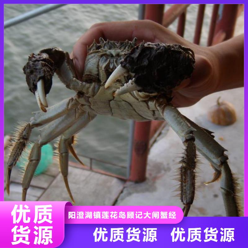 【今天的螃蟹价格2024】-周边(顾记)