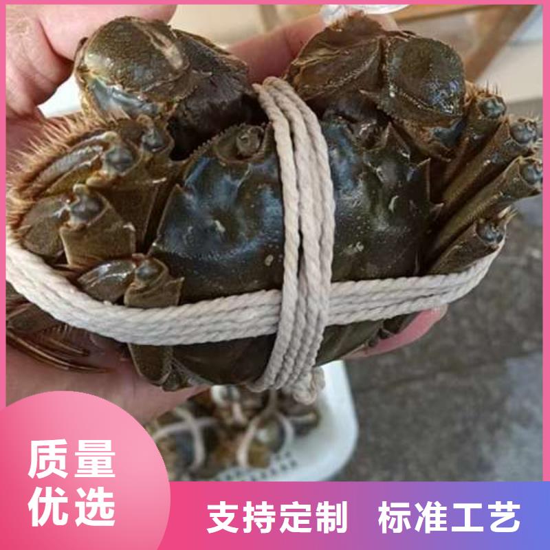 阳澄湖大闸蟹品质优越