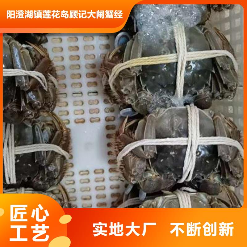 阳澄湖大闸蟹质量合格