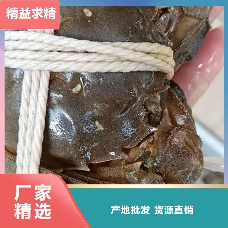 阳澄湖大闸蟹支持非标定制