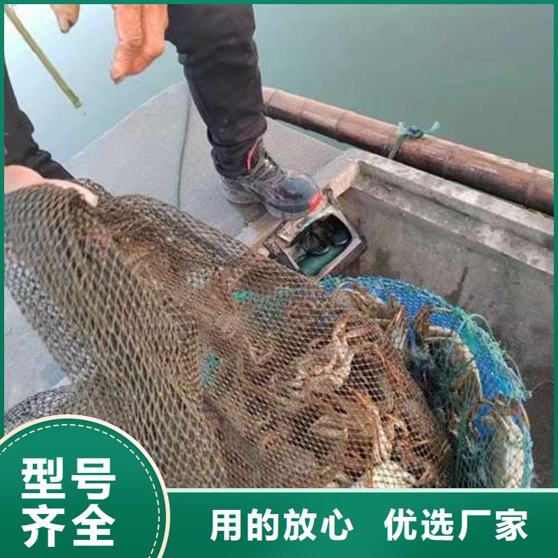 阳澄湖大闸蟹实力厂家