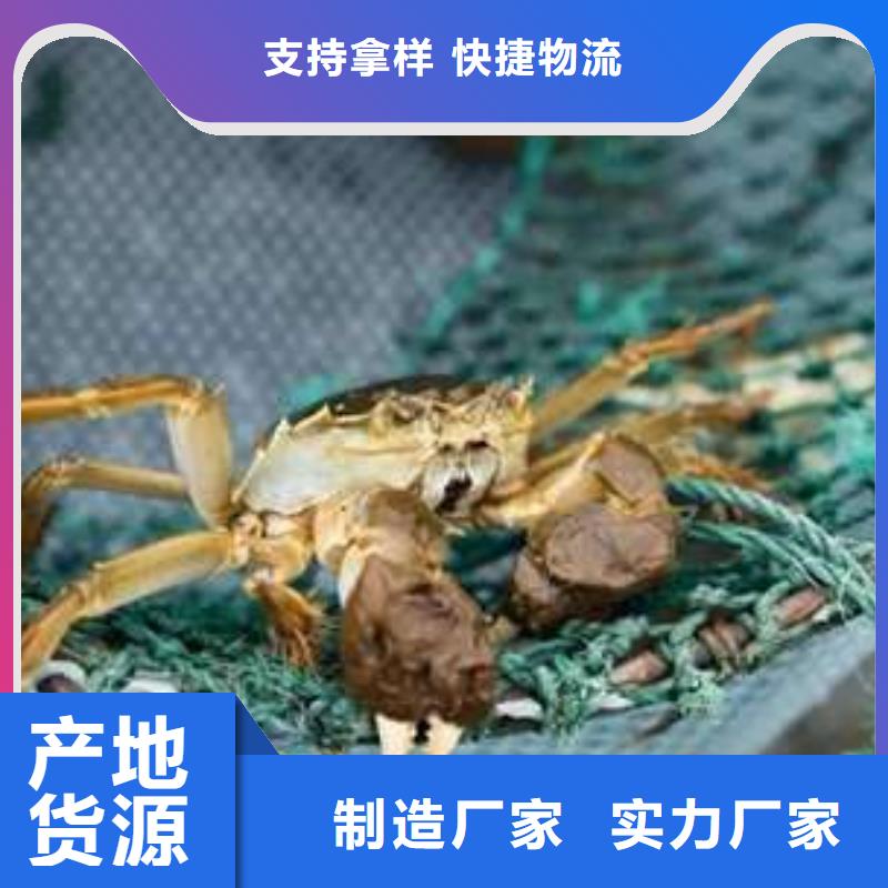 供应阳澄湖大闸蟹认准阳澄湖镇莲花岛顾记大闸蟹经营部