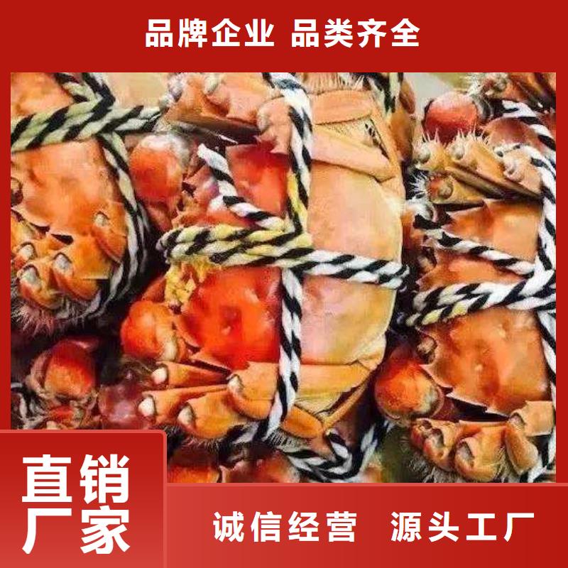 大规模阳澄湖大闸蟹厂家