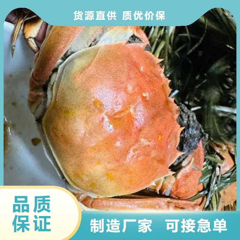 揭阳市阳澄湖大闸蟹哪家好