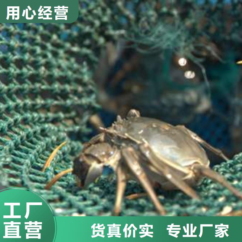 湛江市南方大闸蟹专卖