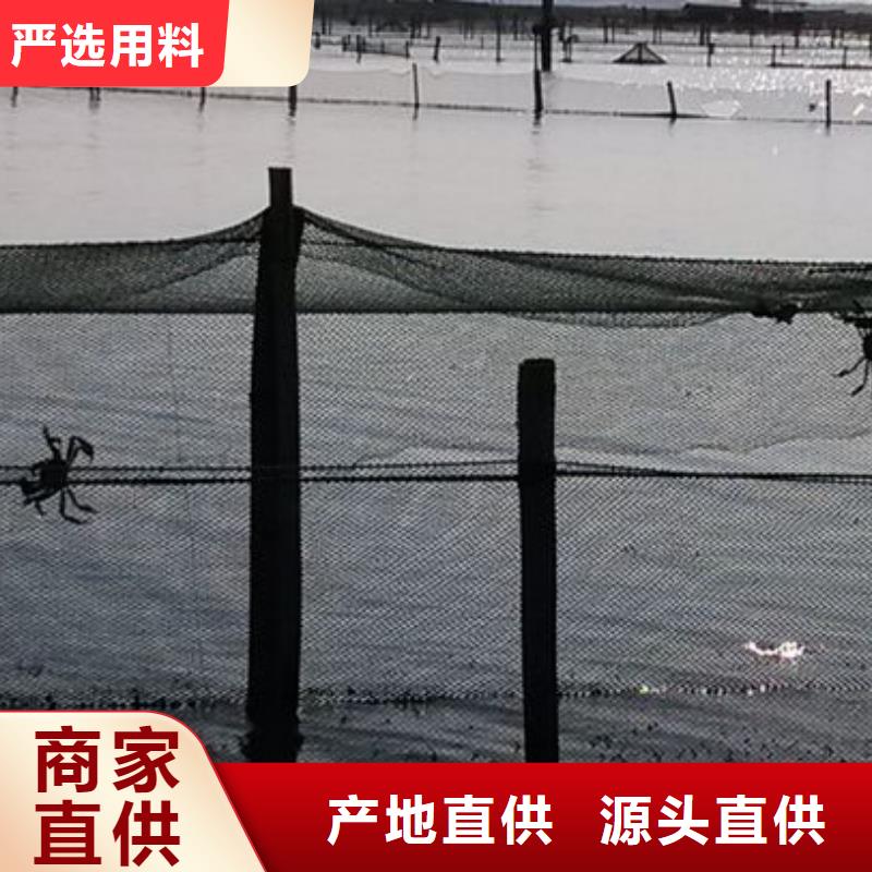 东莞市鲜活阳澄湖螃蟹阳澄湖原产地