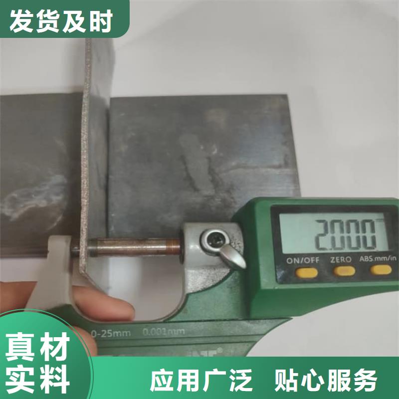 2025采购##宠物防护铅皮##品种齐全