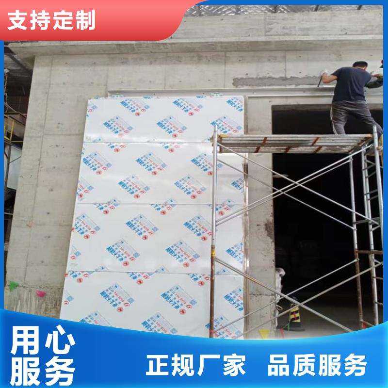 子母铅门-实力厂家