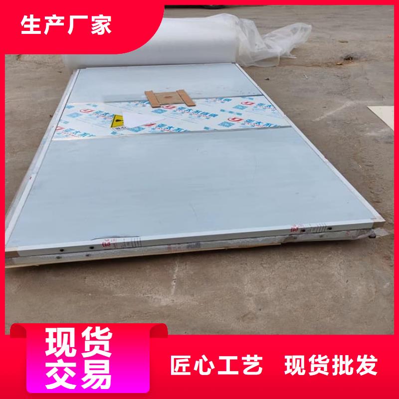射线防护门-生产厂家