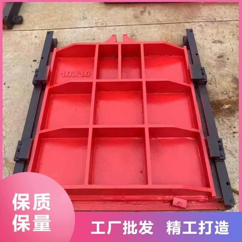 铸铁镶铜闸门-铸铁闸门螺杆启闭机智能