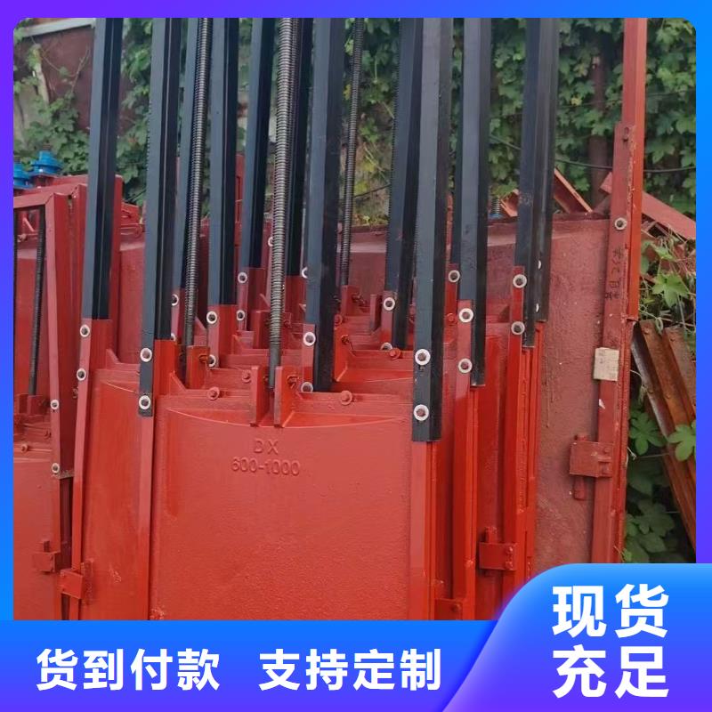 销售pz机闸一体式铸铁闸门的厂家